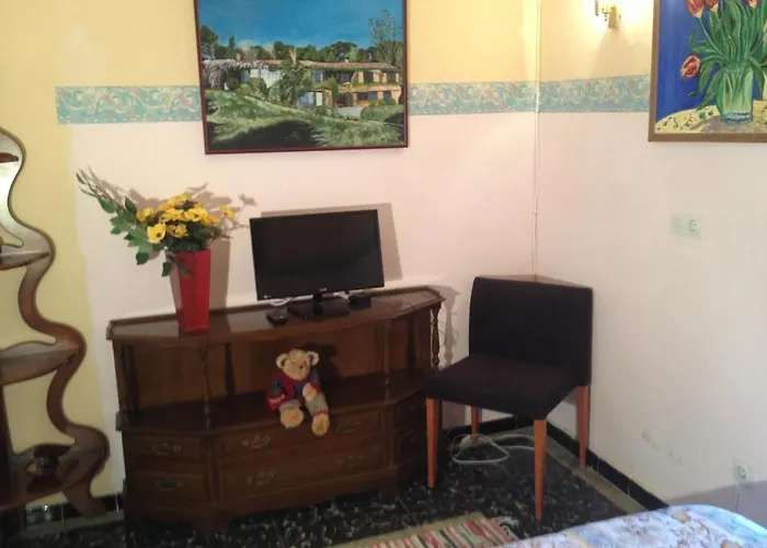 Comodoro Otel